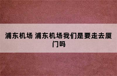 浦东机场 浦东机场我们是要走去厦门吗